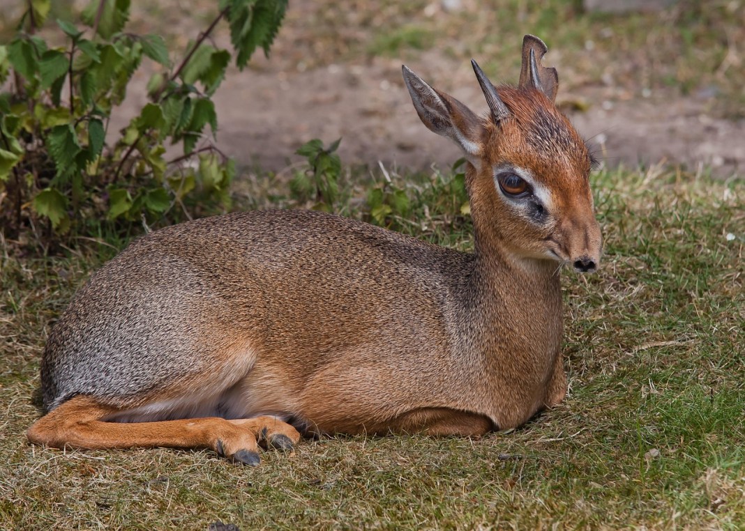 Source image: Foto-Rabe / Pixabay Source image: Foto-Rabe / Pixabay