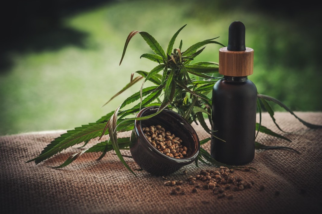 Source image: CBD-Infos-com / Pixabay Source image: CBD-Infos-com / Pixabay
