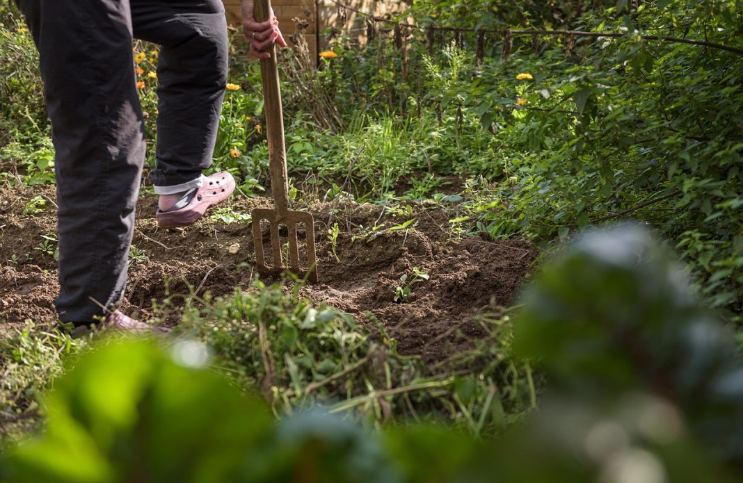 Source image: AndreasGoellner / Pixabay Source image: AndreasGoellner / Pixabay