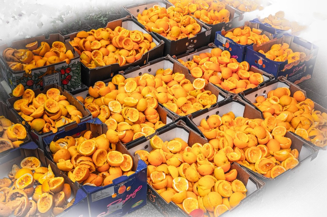 These guys make edible cement from food waste – coffee and oranges These guys make edible cement from food waste – coffee and oranges