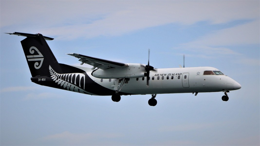 Source image: Nel_Botha / Pixabay Source image: Nel_Botha / Pixabay