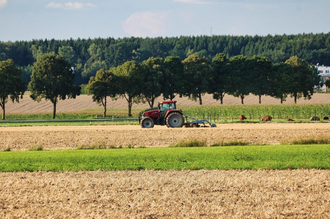 Source image: planet_fox / Pixabay Source image: planet_fox / Pixabay