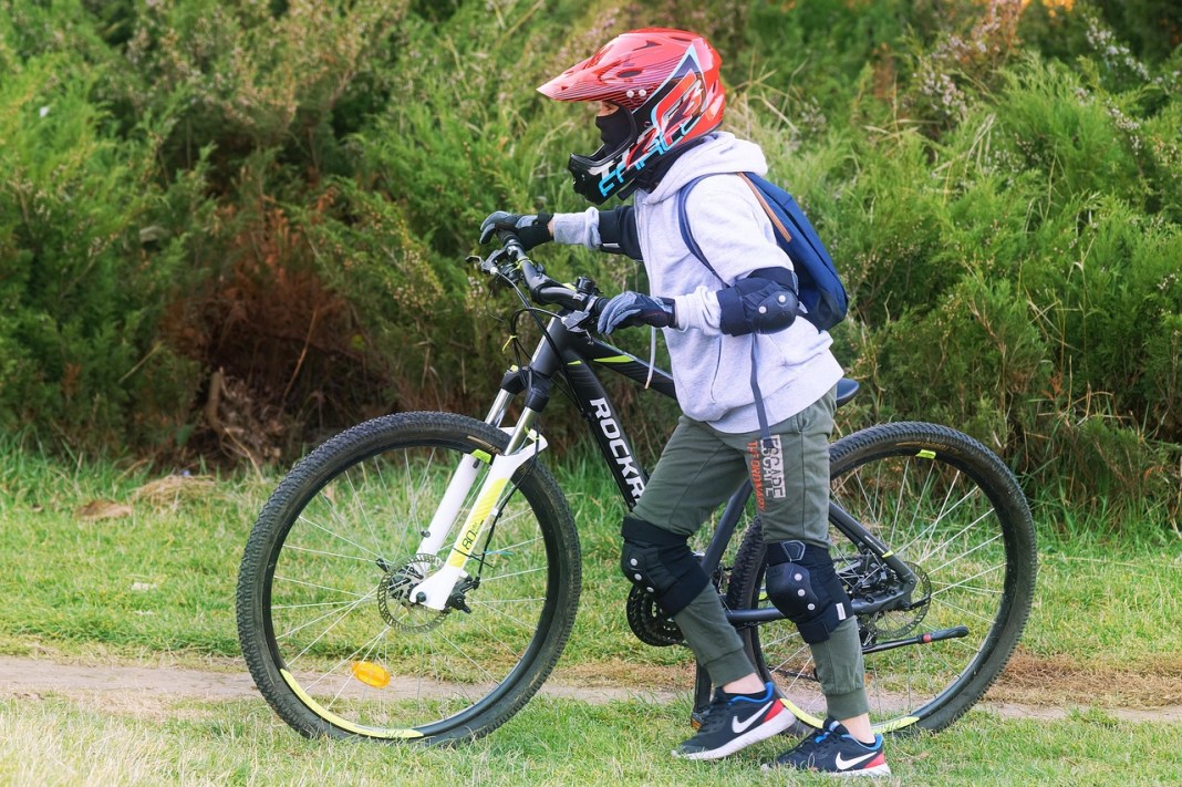 Source image: Surprising_Media/ Pixabay Source image: Surprising_Media/ Pixabay