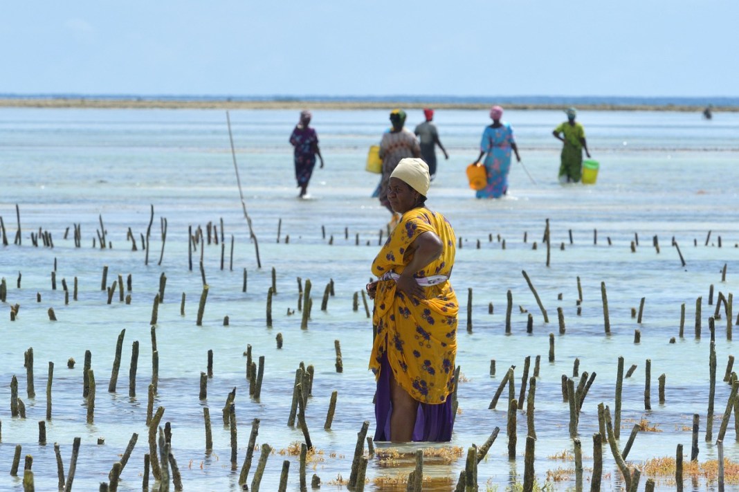 Source image: xiSerge / pixabay Source image: xiSerge / pixabay