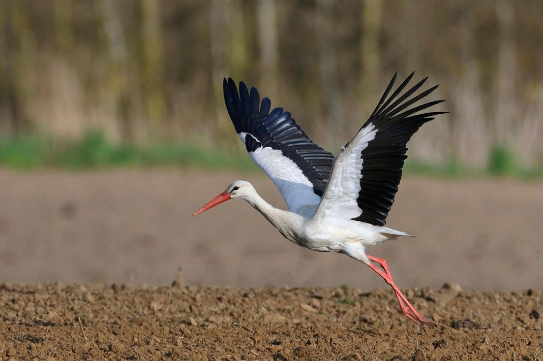 Source image: sharkolot / pixabay Source image: sharkolot / pixabay