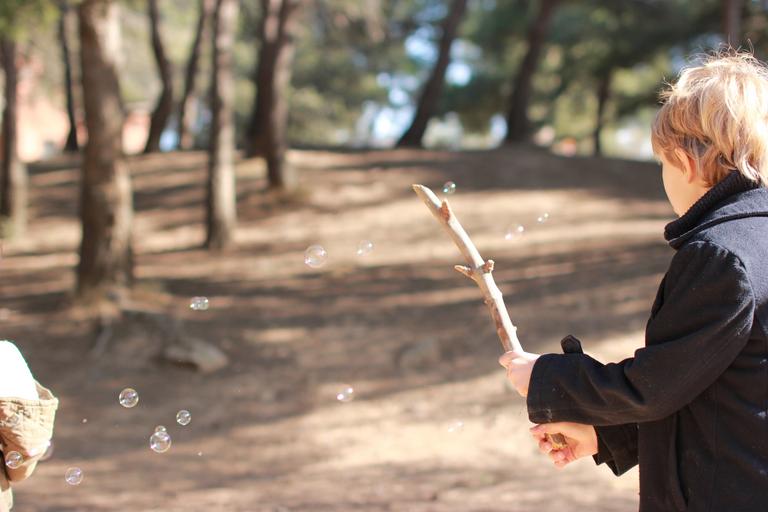 Source: Pixabay/ Nikoline_nik Source: Pixabay/ Nikoline_nik