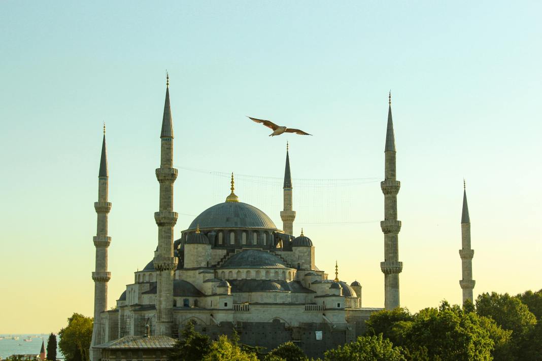 Source image: Benan Sude / pexels Source image: Benan Sude / pexels