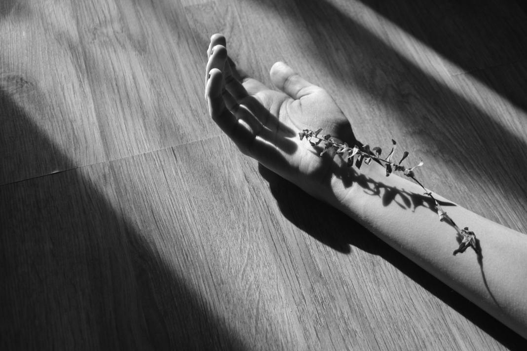 Source image: Fidan Nazim qizi / pixabay Source image: Fidan Nazim qizi / pixabay