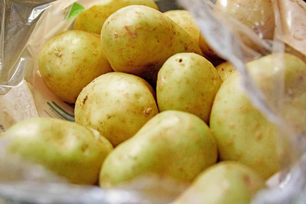 Can Green Potatoes Make You Sick? Experts Weigh In Can Green Potatoes Make You Sick? Experts Weigh In