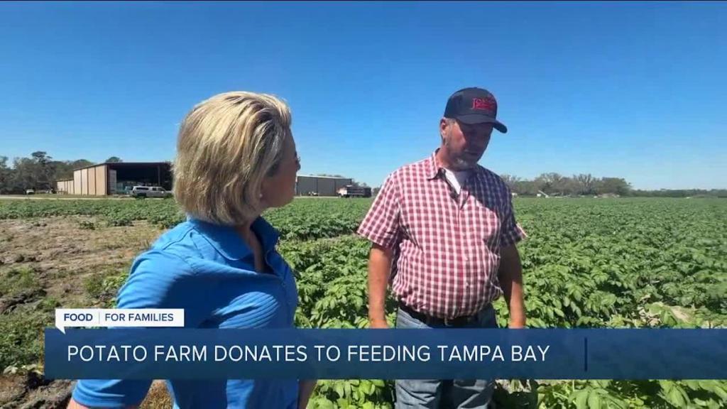 Family-owned potato farm in Parrish gives back to Tampa Bay community Family-owned potato farm in Parrish gives back to Tampa Bay community