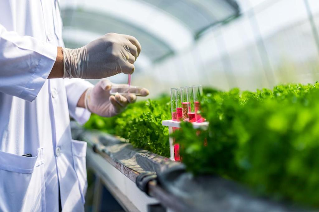 Scientists make breakthrough with astonishing new potato-based material: ‘This is … revolutionary’ Scientists make breakthrough with astonishing new potato-based material: ‘This is … revolutionary’
