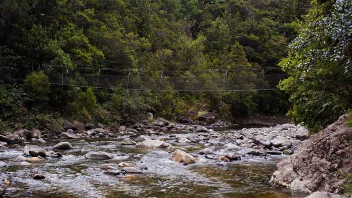 Tramper’s Life Saved by Family’s Body Heat in Coromandel Wilderness Tramper’s Life Saved by Family’s Body Heat in Coromandel Wilderness