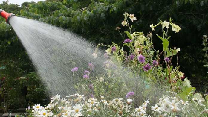 Hawke’s Bay Imposes Level 3 Water Restrictions Amid Soaring Demand Hawke’s Bay Imposes Level 3 Water Restrictions Amid Soaring Demand