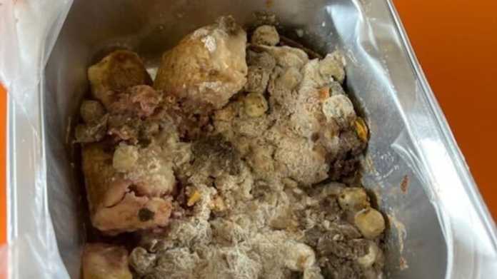Mouldy School Lunches Spark Food Poisoning Concerns in Christchurch Mouldy School Lunches Spark Food Poisoning Concerns in Christchurch
