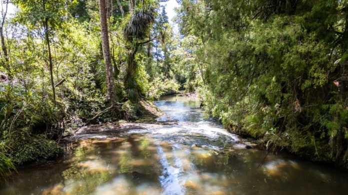 Body of Tekanimaeu Arobati Recovered from Mahurangi River Body of Tekanimaeu Arobati Recovered from Mahurangi River