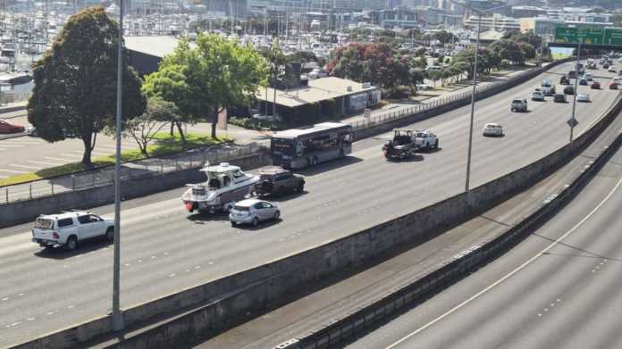 Small-Scale Fishers Exempt from New Marine Regulations, Says Seafood NZ Small-Scale Fishers Exempt from New Marine Regulations, Says Seafood NZ