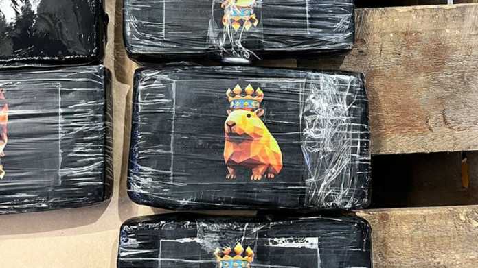 New Zealand Sees Spike in Cocaine and Meth Seizures New Zealand Sees Spike in Cocaine and Meth Seizures