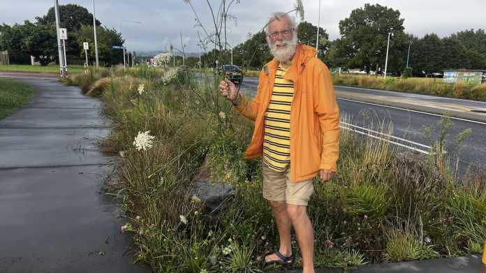 Revitalizing Te Ngae Rd: Overgrown Gardens Set for Makeover Amid Safety Fears Revitalizing Te Ngae Rd: Overgrown Gardens Set for Makeover Amid Safety Fears
