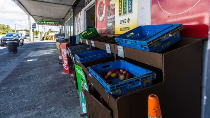 Mt Roskill Store Removes Produce Amid Fruit Fly Scare Mt Roskill Store Removes Produce Amid Fruit Fly Scare