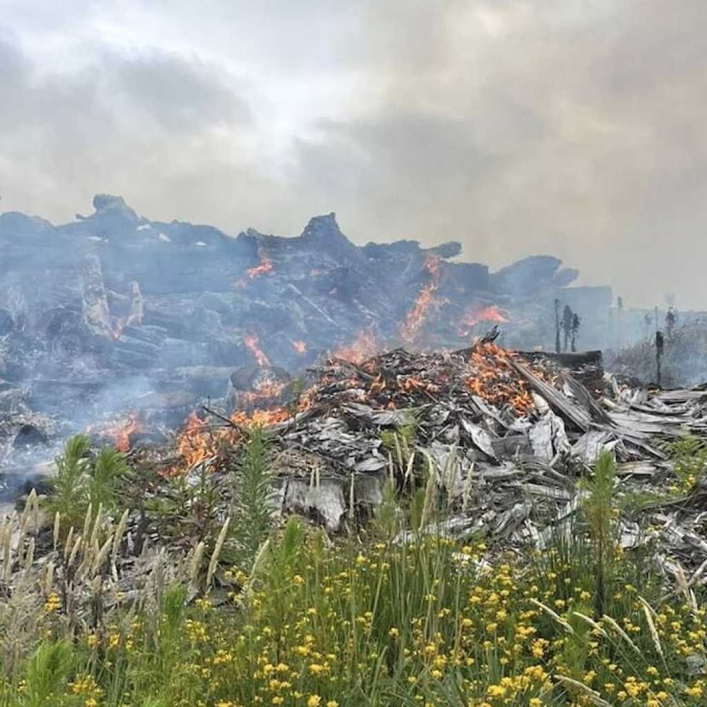 Road Safety Concerns Reignite After Northland Crashes and Quad Bike Accident Road Safety Concerns Reignite After Northland Crashes and Quad Bike Accident