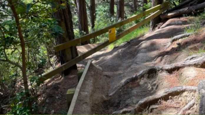 Vandals Sabotage Wellington Mountain Bike Trails Vandals Sabotage Wellington Mountain Bike Trails
