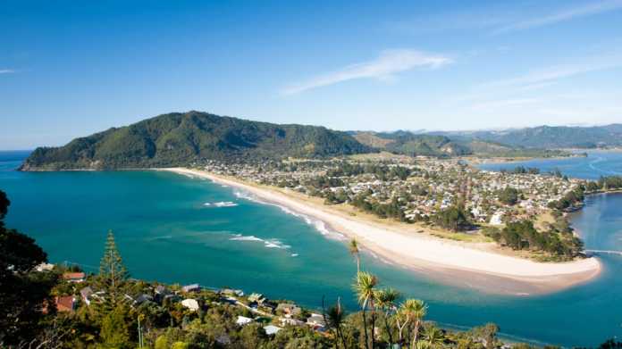 Kiwifruit Orchard Destroyed in Mysterious Coromandel Blaze Kiwifruit Orchard Destroyed in Mysterious Coromandel Blaze