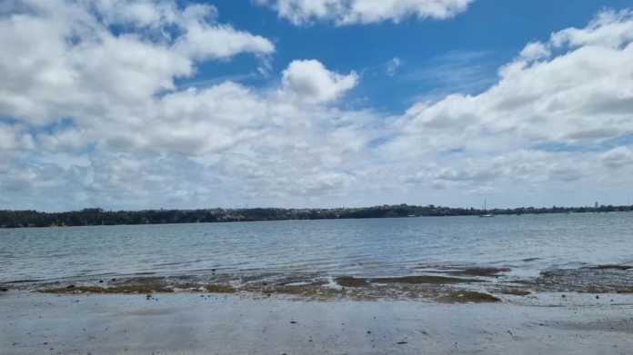 Auckland Beaches Closed Due to Sewage Overflows Auckland Beaches Closed Due to Sewage Overflows