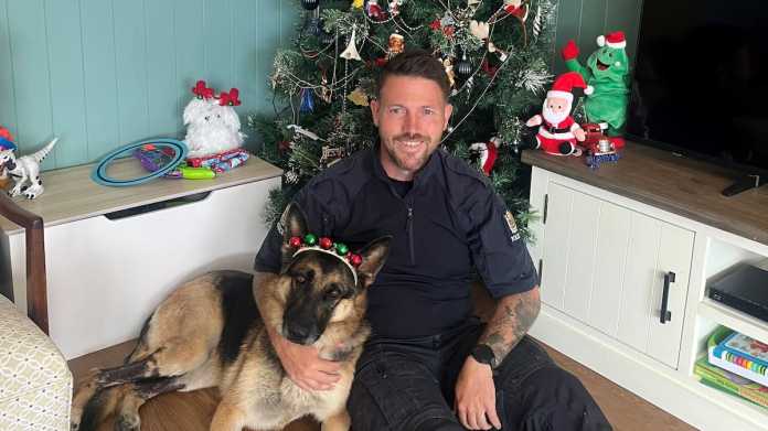 Rotorua Police Dog Teo’s Miraculous Recovery from Scalding Geothermal Water Burns Rotorua Police Dog Teo’s Miraculous Recovery from Scalding Geothermal Water Burns