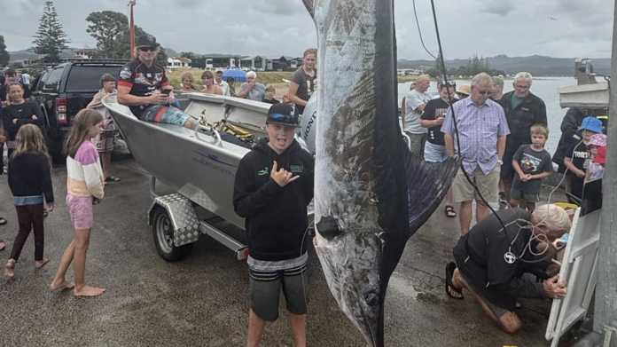 Young Angler Reels in Record-Breaking 101kg Marlin off Coromandel Coast Young Angler Reels in Record-Breaking 101kg Marlin off Coromandel Coast