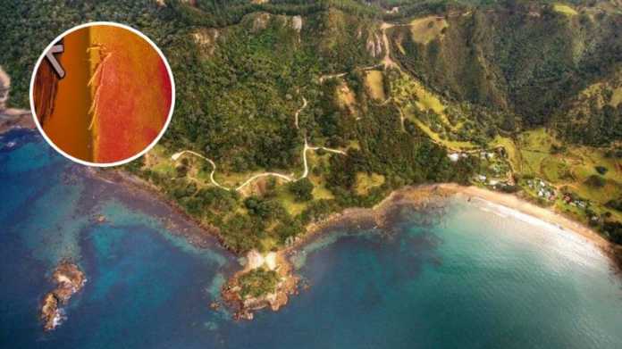 Kayaker Fends Off Shark Attack With Paddle In Coromandel Incident Kayaker Fends Off Shark Attack With Paddle In Coromandel Incident