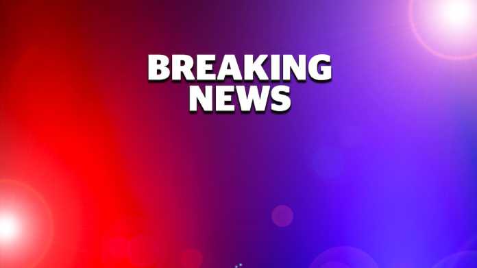 Livestock Trailer Crash Causes Delays on SH2 Near Wairoa Livestock Trailer Crash Causes Delays on SH2 Near Wairoa