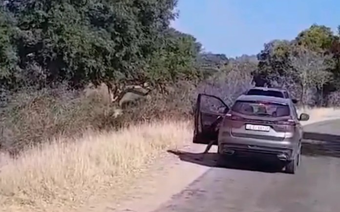 Visitors Face Penalties for Defying National Park Regulations Visitors Face Penalties for Defying National Park Regulations