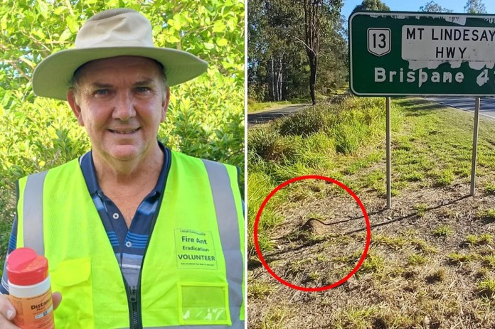 Australian Suburbs Under Siege: One Man’s Fight Against a Billion Threat Australian Suburbs Under Siege: One Man’s Fight Against a Billion Threat