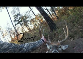 Quest 2021 Official Intro Quest 2021 Official Intro