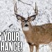Missed the Rut? This Is Your Last Chance for a Giant Buck! Missed the Rut? This Is Your Last Chance for a Giant Buck!