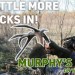 LATEST RATTLING RESEARCH || Murphy’s Law On Whitetails LATEST RATTLING RESEARCH || Murphy’s Law On Whitetails