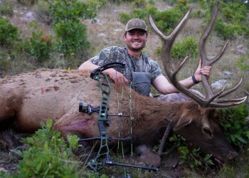 The Craziest Hunt of My Life! | Bow Hunting Public Land Elk The Craziest Hunt of My Life! | Bow Hunting Public Land Elk
