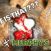 DEER BRAIN ABSCESSES || Murphy’s Law On Whitetails DEER BRAIN ABSCESSES || Murphy’s Law On Whitetails