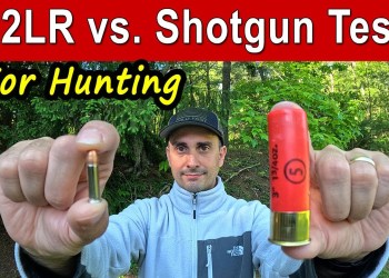22LR vs. Shotgun For Small Game Hunting | TESTED 22LR vs. Shotgun For Small Game Hunting | TESTED