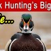 The Biggest Lie In Duck Hunting The Biggest Lie In Duck Hunting