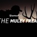 THE MULEY FREAK | Utah Mule Deer Hunt with Erik Van Woerkom THE MULEY FREAK | Utah Mule Deer Hunt with Erik Van Woerkom