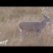 KILL SHOT? – Big Buck Back Strapped at 32 Yards – Quest S1E1 KILL SHOT? – Big Buck Back Strapped at 32 Yards – Quest S1E1
