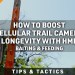 How to Get Better Battery Life from your Cellular Trail Cameras How to Get Better Battery Life from your Cellular Trail Cameras