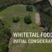 Whitetail Food Plots: Initial Considerations Whitetail Food Plots: Initial Considerations