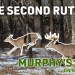 The SECOND RUT || Murphy’s Law On Whitetails The SECOND RUT || Murphy’s Law On Whitetails