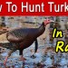 How To Hunt Turkeys In The Rain How To Hunt Turkeys In The Rain
