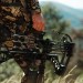 In The Field: Mathews V3 27 Compound Bow In The Field: Mathews V3 27 Compound Bow