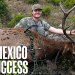 We Shot a New Mexico Elk w/ the BOW!! | Hunters Advantage Podcast #248 We Shot a New Mexico Elk w/ the BOW!! | Hunters Advantage Podcast #248