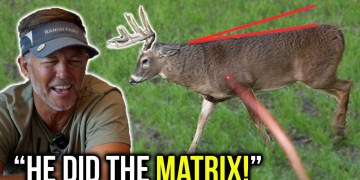 Analyzing 20+ Kill Shots w/ Ranch Fairy | Does ‘Time to Target’ Matter? Analyzing 20+ Kill Shots w/ Ranch Fairy | Does ‘Time to Target’ Matter?