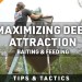 Tips for Getting Started with Deer Baiting and Supplemental Feeding Tips for Getting Started with Deer Baiting and Supplemental Feeding